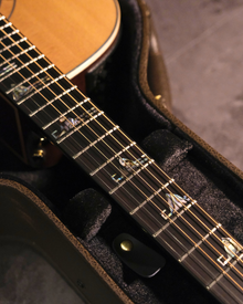 Takamine Electro Acoustic - 500 Custom (Japan Exclusive)