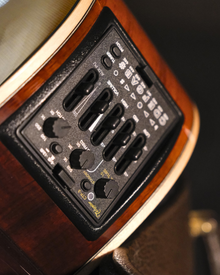 Takamine Electro Acoustic - 500 Custom (Japan Exclusive)