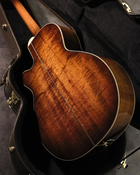 Takamine Electro Acoustic - 500 Custom (Japan Exclusive)