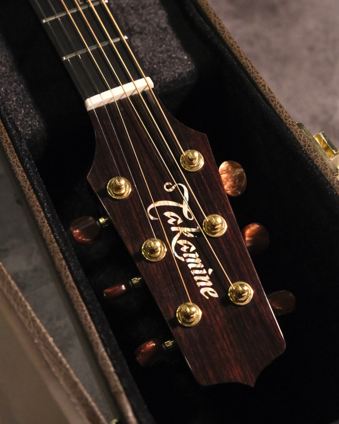 Takamine Electro Acoustic - 500 Custom (Japan Exclusive)