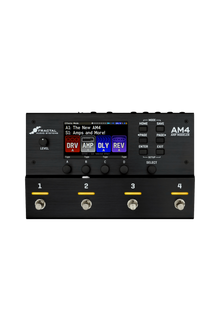 Fractal Audio AM4 Amp Modeler