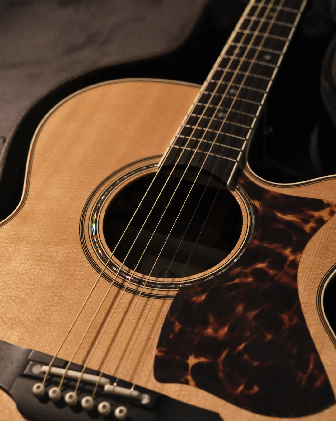 Takamine Electro Acoustic DMP50S