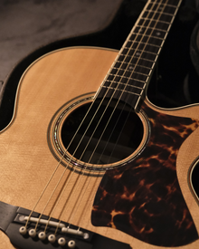 Takamine Electro Acoustic DMP50S