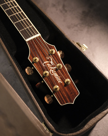 Takamine Electro Acoustic DMP50S