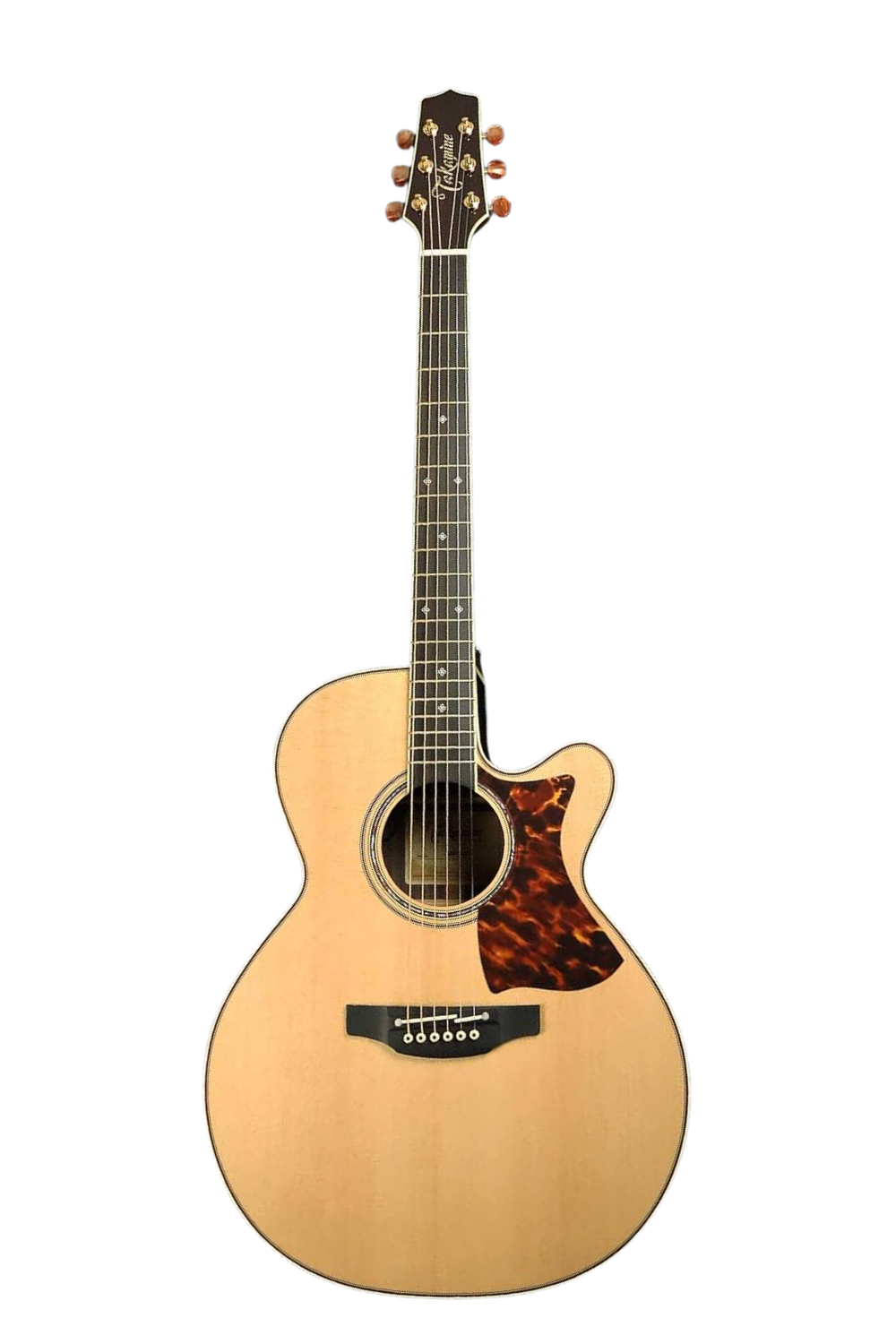 Takamine Electro Acoustic DMP50S