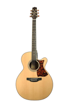 Takamine Electro Acoustic DMP50S
