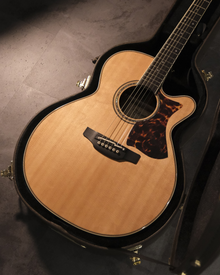 Takamine Electro Acoustic DMP50S