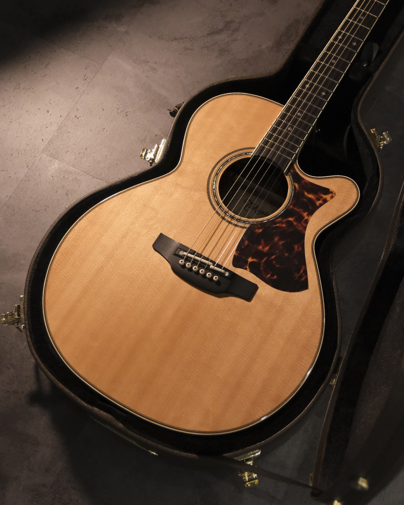 Takamine Electro Acoustic DMP50S