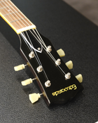 Edwards E-SA-160LTS