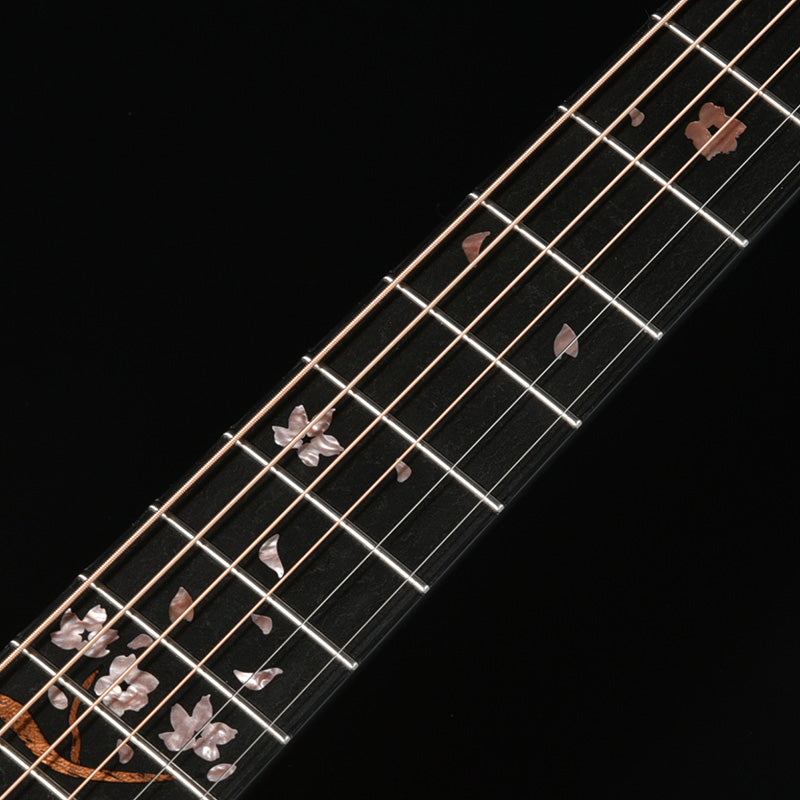 Headway HF-SAKURA’26 / STD