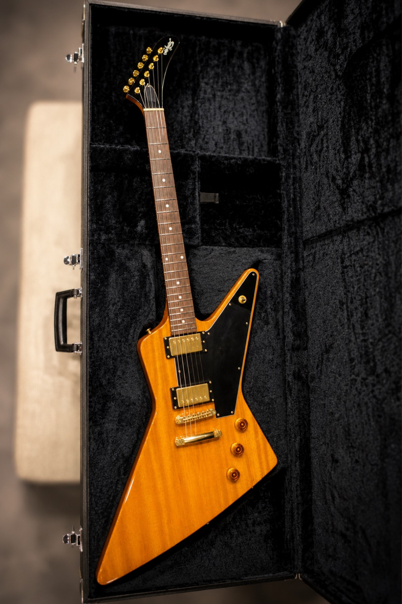 ESP Navigator N-EX-LTD Old Natural