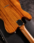 Freedom Custom Guitar Research O.S. TE Pepper Hollow II – Late Autumn (BAS)