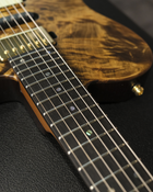 Momose MT24-MV-FT/ASH EWC’22/E