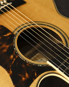 Takamine Electro Acoustic DMP50S
