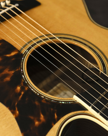 Takamine Electro Acoustic DMP50S