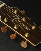 Takamine Electro Acoustic DMP50S