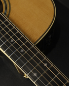Takamine Electro Acoustic DMP50S