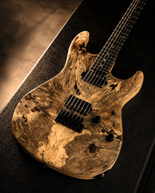 ESP SNAPPER-CTM Bushido Brown - BC 01