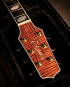 Takamine Electro Acoustic TSP178ACK/N Thinline