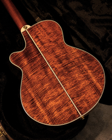 Takamine Electro Acoustic TSP178ACK/N Thinline