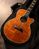 Takamine Electro Acoustic TSP178ACK/N Thinline